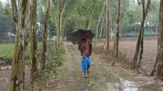 গুঁড়ি গুঁড়ি বৃষ্টি আর হিমেল বাতাসে ভোগান্তিতে পঞ্চগড়ের মানুষ