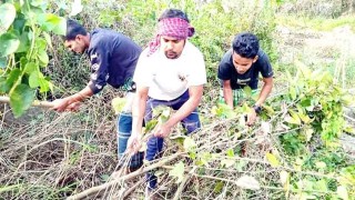 টাঙ্গাইলে স্বেচ্ছায় কবরস্থানের আগাছা পরিষ্কার করল একদল যুবক