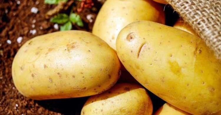 Bangladesh to increase potato export: Commerce Minister