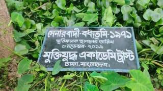 আখাউড়ায় গণকবরের সাইনবোর্ড ছুড়ে ফেললো 'বিএসএফ'