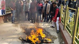 এফডিসির এমডির কুশপুত্তলিকা দাহ করল চলচ্চিত্রের ১৮ সংগঠন