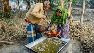 ঝিনাইদহে খেজুরের গুড় তৈরিতে ব্যস্ত গাছি