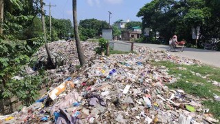 উল্লাপাড়া যেখানে সেখানে বর্জ্য, দুর্ভোগে বাসিন্দারা