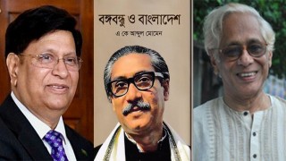 মোমেনের লেখা ভুলই নয়, অসৎ উদ্দেশ্যপ্রণোদিত