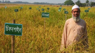 বীজ ব্যাংকের প্রতিষ্ঠাতা ইউসুফ মোল্লা আর নেই