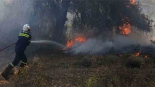 Italy heatwave peaks with 16 cities on red alert as Tuscany burns