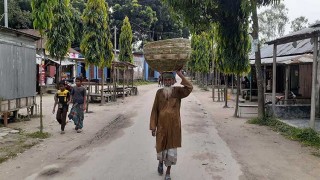 কেমন আছেন দাসিয়ারছড়াবাসী