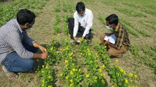 পাঁচ বছরের গবেষণার ফল এলো