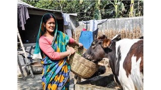 আমদানীতে দুগ্ধ শিল্প ভেঙে পড়েছে