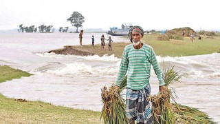 ১০ মিটারের স্থলে ৪ মিটার বাঁধ দিয়ে টাকা লোপাট