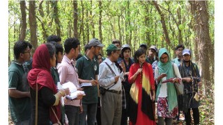 গাছ পরিবেশের পরম বন্ধু : অধ্যাপক ড. শিরীণ আখতার