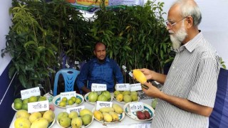 নওগাঁর মেলায় বিভিন্ন আমের সমাহার