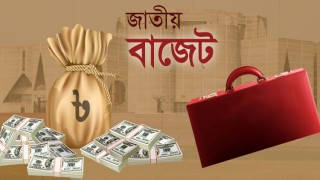 নতুন অর্থবছরে কোন খাত থেকে কত টাকা আসবে