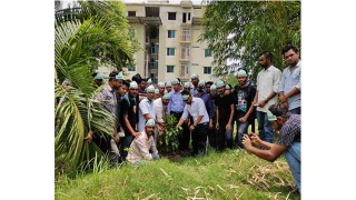 গাছ লাগালো বঙ্গবন্ধুর নামে প্রতিষ্ঠিত গোপালগঞ্জের বিজ্ঞান বিশ্ববিদ্যালয়