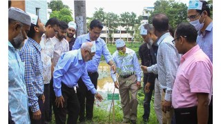 গাছ লাগালো ‘বনায়ন ও পরিবেশ বিজ্ঞান’