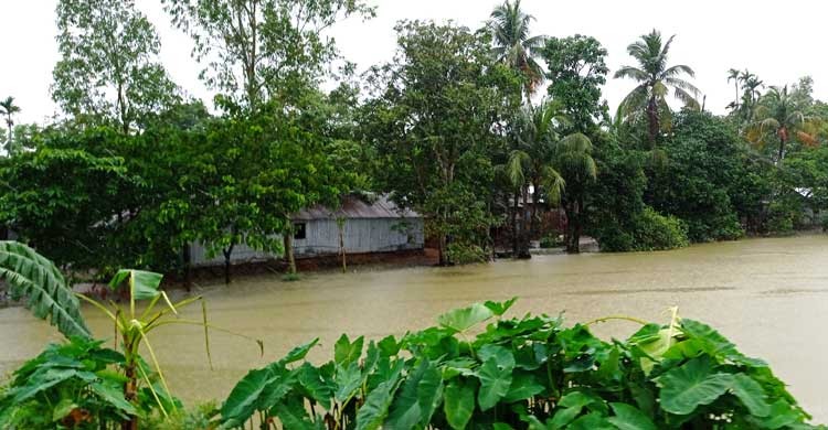 ব্যাংক ঋণে হিমশিম খাচ্ছেন মৎস্য খামারিরা