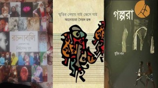 ২৫তম দিনে এলো সর্বাধিক ৩১২টি