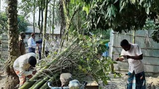 ঠাকুরগাঁওয়ে নতুন জাতের মাদক উদ্ধার