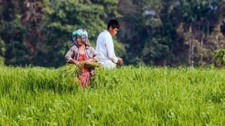 আদিবাসীদের ভূমি দখলে ২৪ বিশিষ্ট নাগরিকের উদ্বেগ