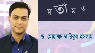 পৌরসভার স্থায়ী কমিটি কতটা অংশগ্রহণমূলক এবং কার্যকরী?