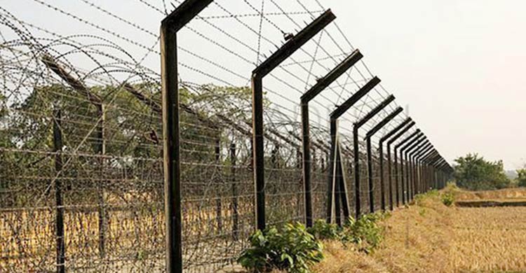 Bangladeshi shot dead 'by BSF' along Kushtia border