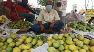 আজ থেকে বাজারে মিলবে সাতক্ষীরার আম