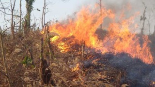 জুম বাগানে আগুন ও আওয়ামী লীগ নেতাকে নির্যাতনের প্রতিবাদে ১৬ নাগরিকের বিবৃতি