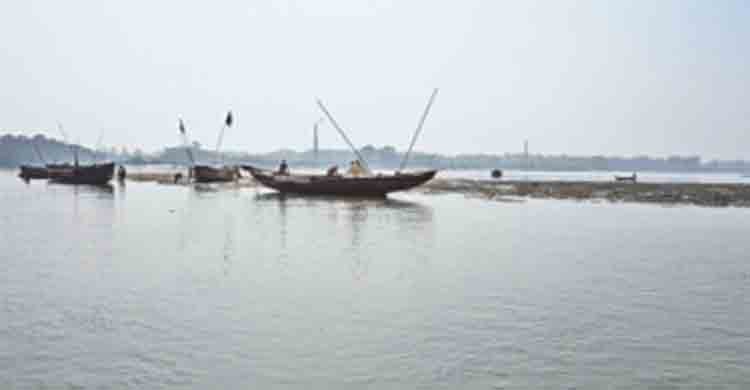 Mother fish release eggs in Halda