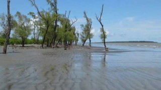 পর্যটনের অপার সম্ভাবনা সোনারচর ও জাহাজমারা