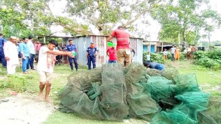 ২১ দিনে ৪২ লাখ টাকার কারেন্ট জাল জব্দ, ৩ মণ ইলিশ উদ্ধার