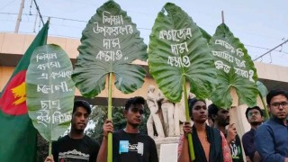 কাগজের মূল্যবৃদ্ধিতে ঢাবিতে কচুপাতা ও কলাপাতা হাতে বিক্ষোভ