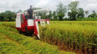 ঘুষ ছাড়া মিলছে না কৃষি যন্ত্র!