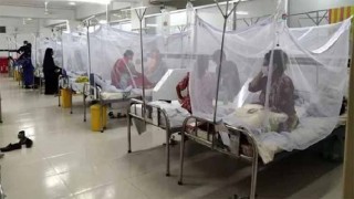 Dengue claims five more lives, 796 patients hospitalized in 24 hrs