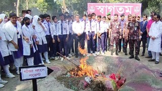 কুড়িগ্রামে বিজিবির মাদকদ্রব্য ধ্বংসকরণ