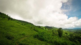 বান্দরবানে ৪ উপজেলায় পর্যটকদের ভ্রমণে নিষেধাজ্ঞা বাড়ল