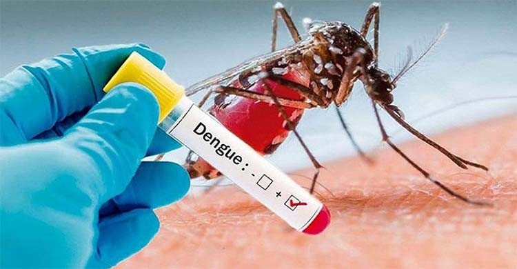 Dengue claims six more lives, 918 hospitalized in 24 hrs