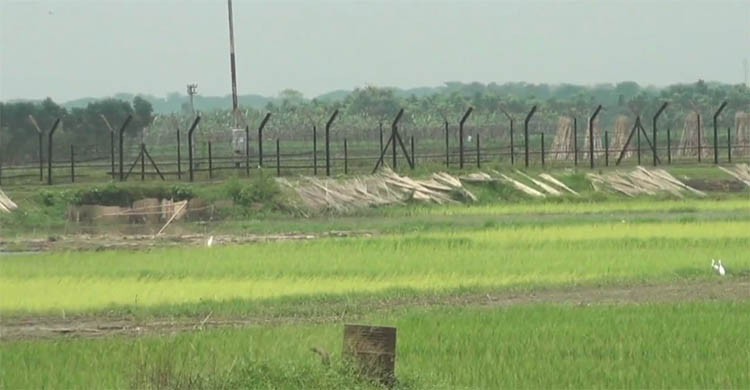 BSF kills Bangladeshi cattle trader in Chuadanga: BGB