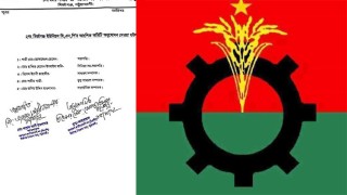 বিএনপির কমিটিতে আওয়ামী লীগের সমর্থক!