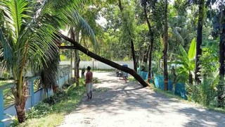 বরগুনার আকাশে রোদের ঝলকানি, জনমনে স্বস্তি