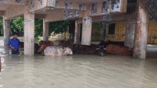 ভোলায় বন্যা পরিস্থিতির উন্নতি, নৌ চলাচল শুরু