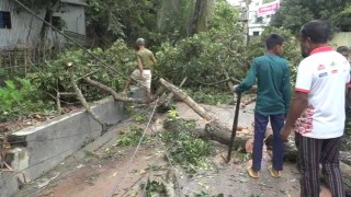 ঘূর্ণিঝড় সিত্রাংয়ে ব্রাহ্মণবাড়িয়ায় ফসলের ব্যাপক ক্ষতি, একজনের মৃত্যু