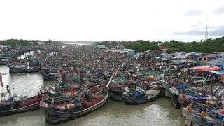 মধ্যরাত থেকে ইলিশ শিকারে ২২ দিনের নিষেধাজ্ঞা শুরু