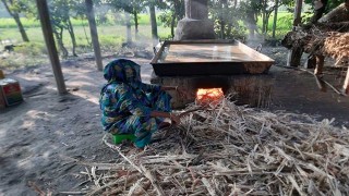 ভোলায় আখচাষে সাবলম্বী কৃষক সাদেক রাড়ী