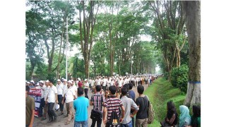 রাজশাহী বিশ্ববিদ্যালয়ে কোটায় ভর্তি হবেন ৬শ ২১ জন