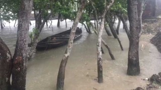 ঘূর্ণিঝড় সিত্রাংয়ে বিদ্যুৎহীন বরগুনা