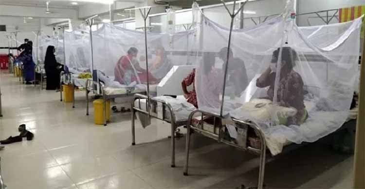 Dengue: one dies, 635 hospitalized in 24hrs