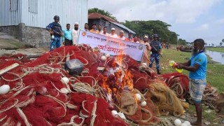 কোটি টাকার নিষিদ্ধ পাইজাল পুড়িয়ে ধ্বংস