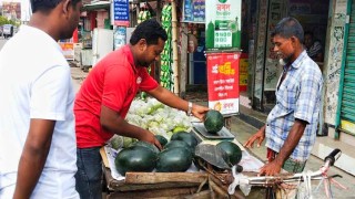 তীব্র গরমে বেড়েছে কালো তরমুজের চাহিদা