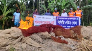 ভোলায় কোটি টাকার নিষিদ্ধ জাল আগুনে ধ্বংস