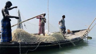 বজ্রপাত থেকে বাঁচতে মেঘনায় ঝাঁপ, নিঁখোজ ৩ জেলে